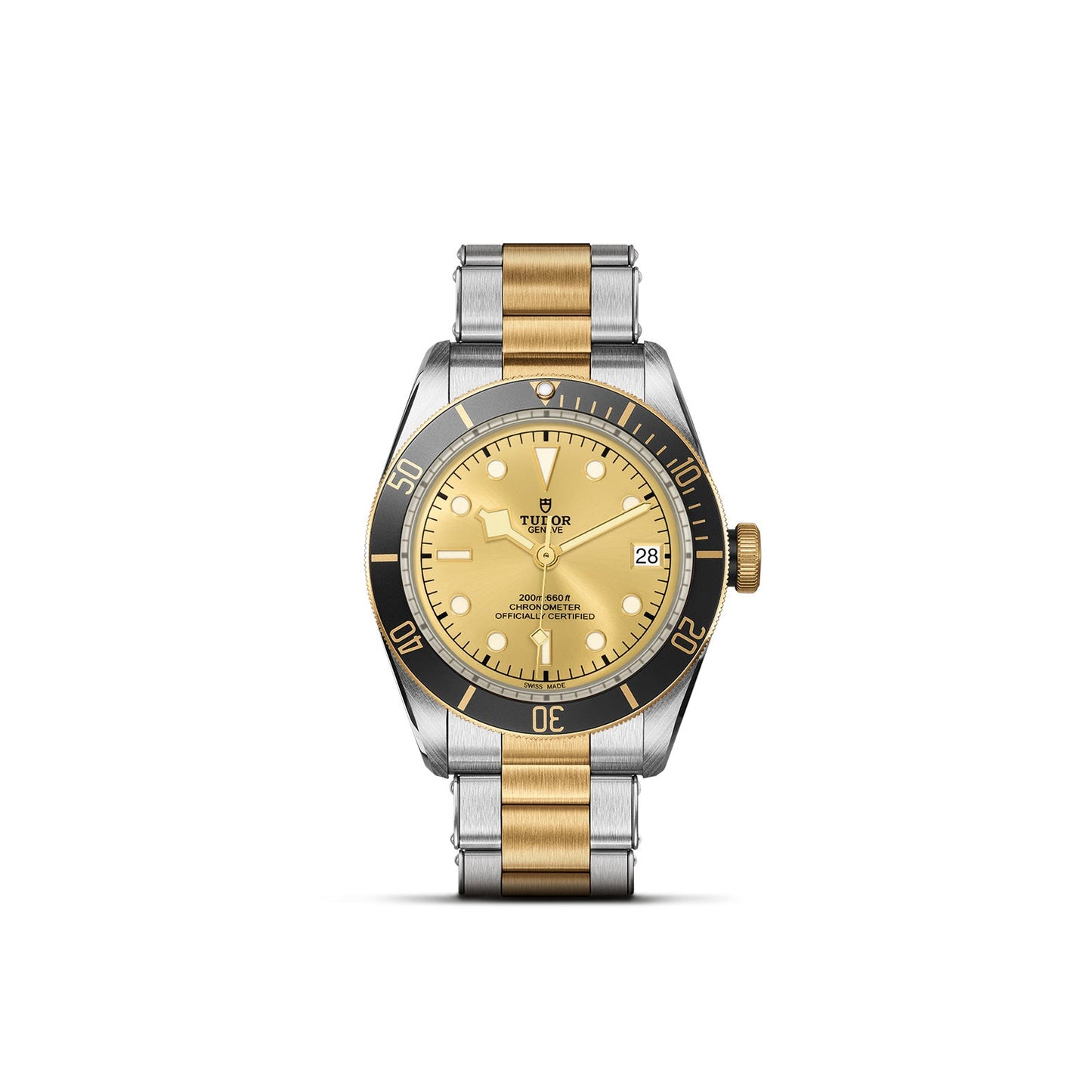 Tudor Black Bay S&G M79733N-0004