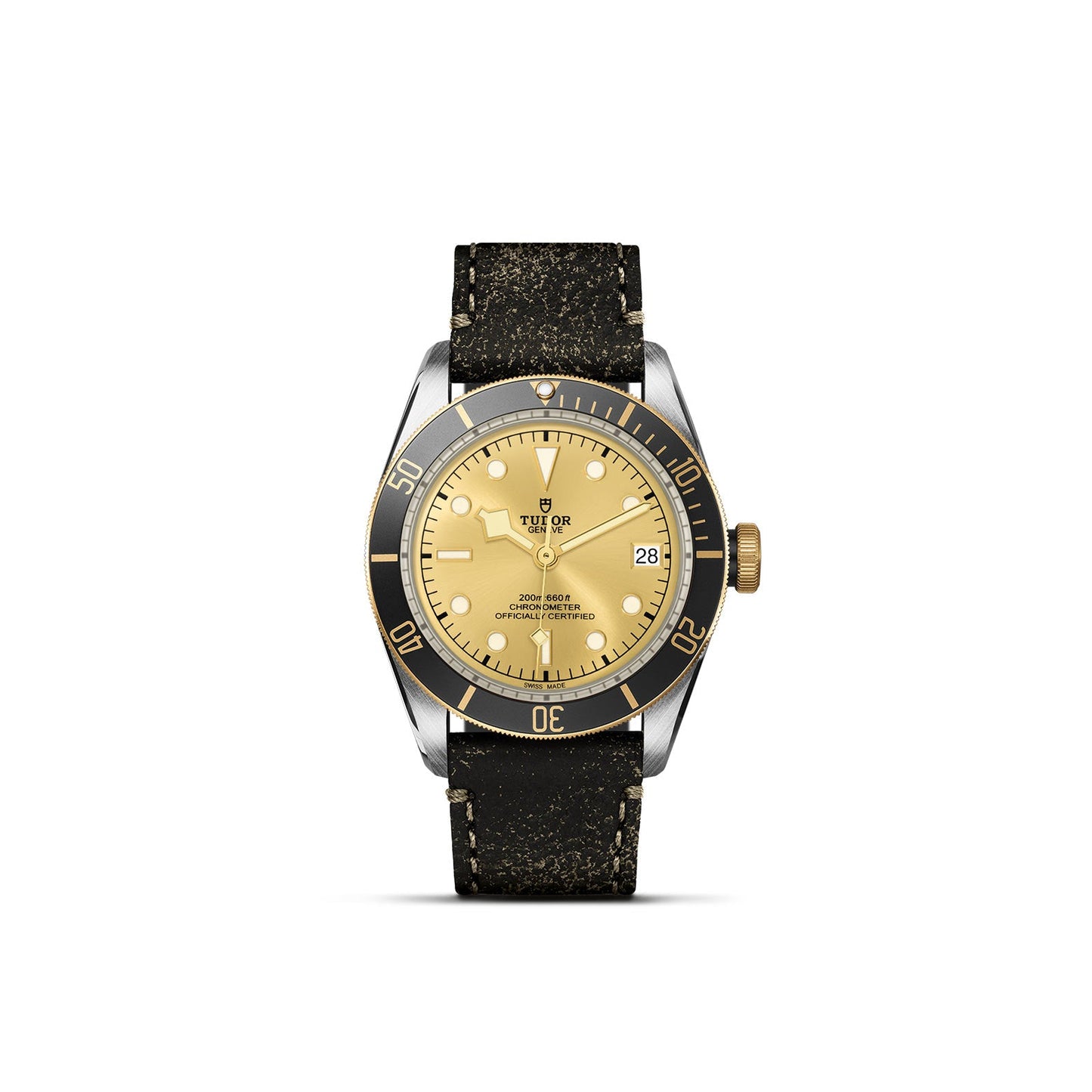 Tudor Black Bay S&G M79733N-0003