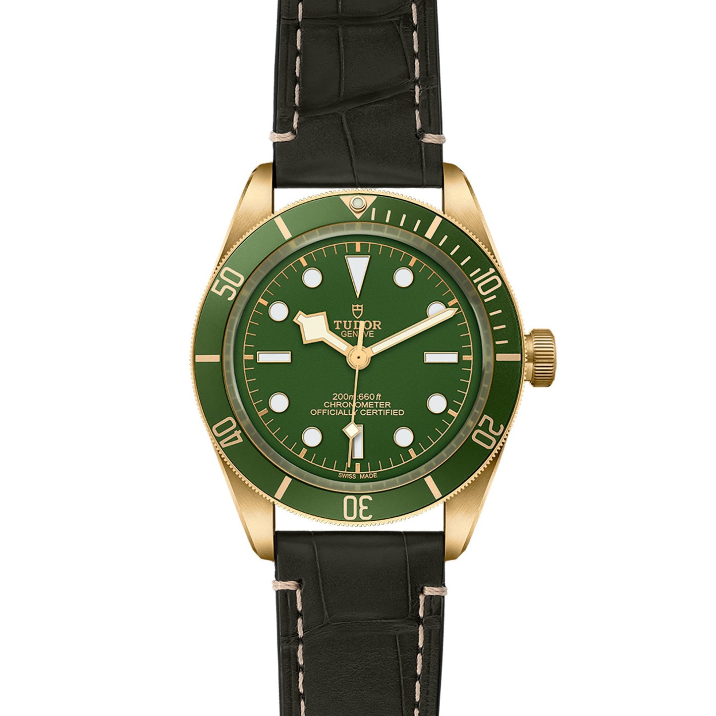 TUDOR Black Bay 58 18K M79018V-0001