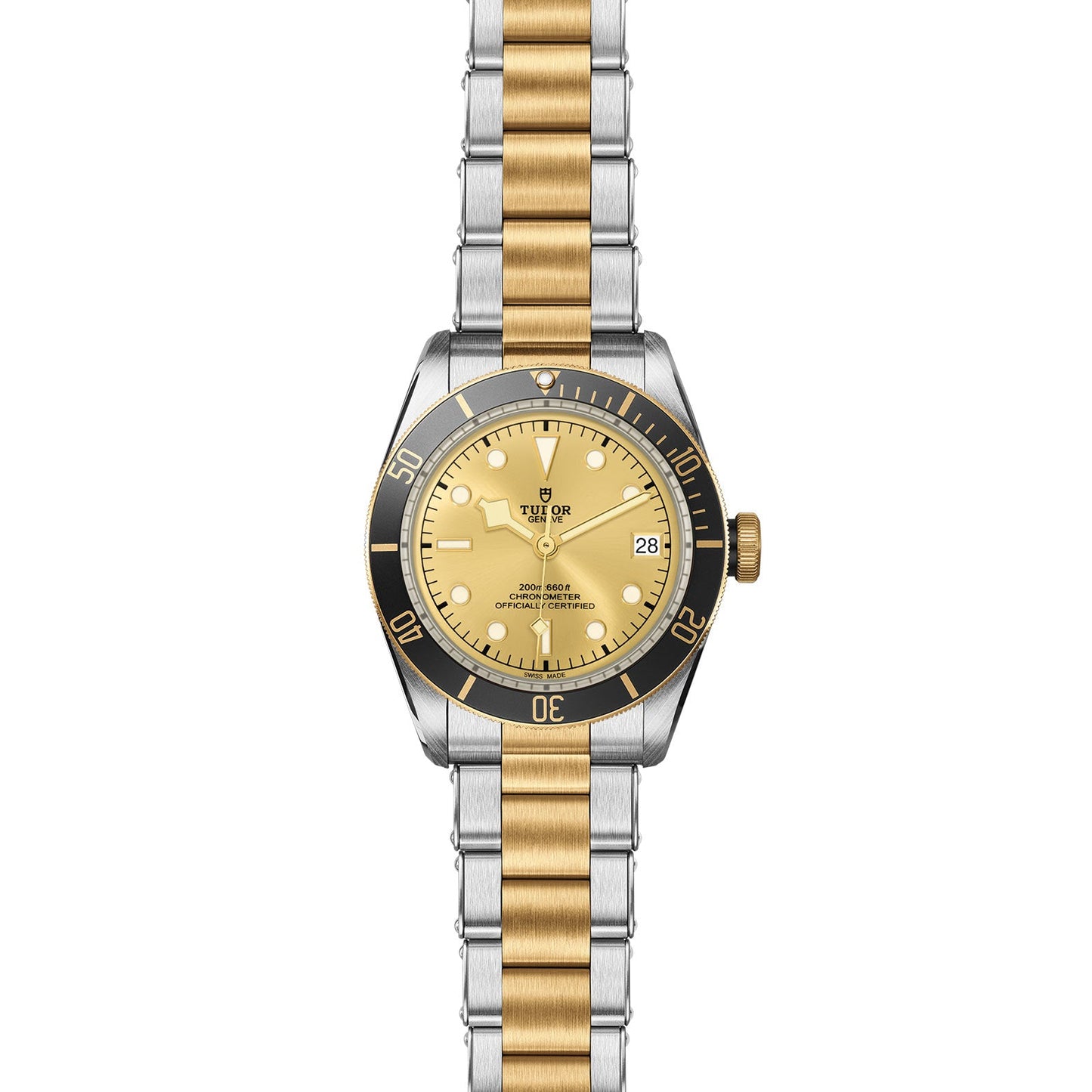 Tudor Black Bay S&G M79733N-0004