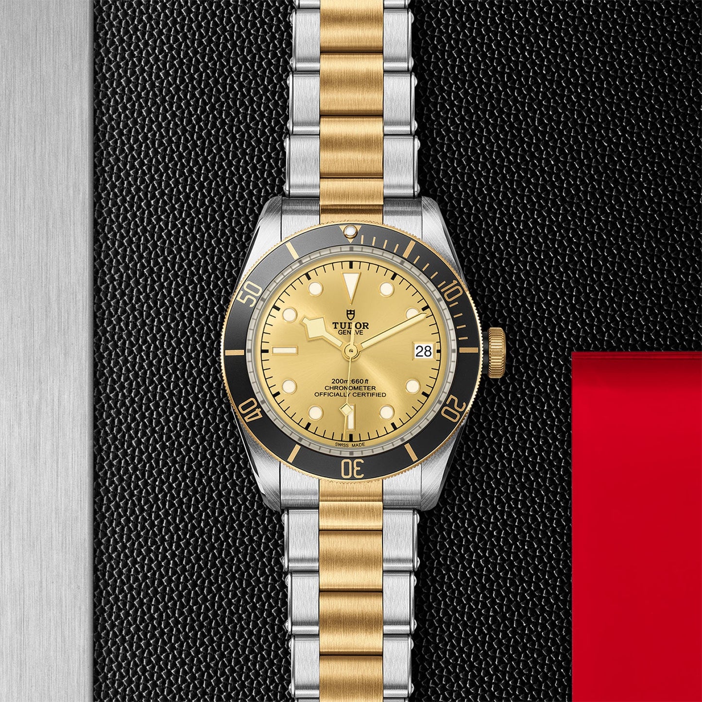 Tudor Black Bay S&G M79733N-0004