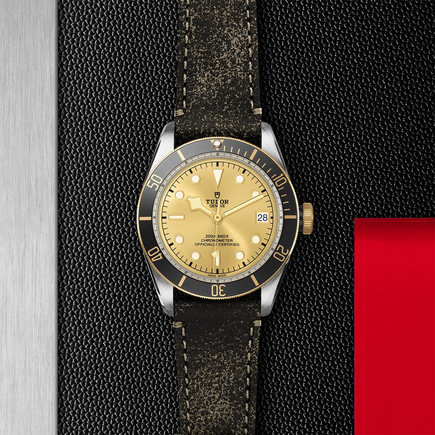 Tudor Black Bay S&G M79733N-0003