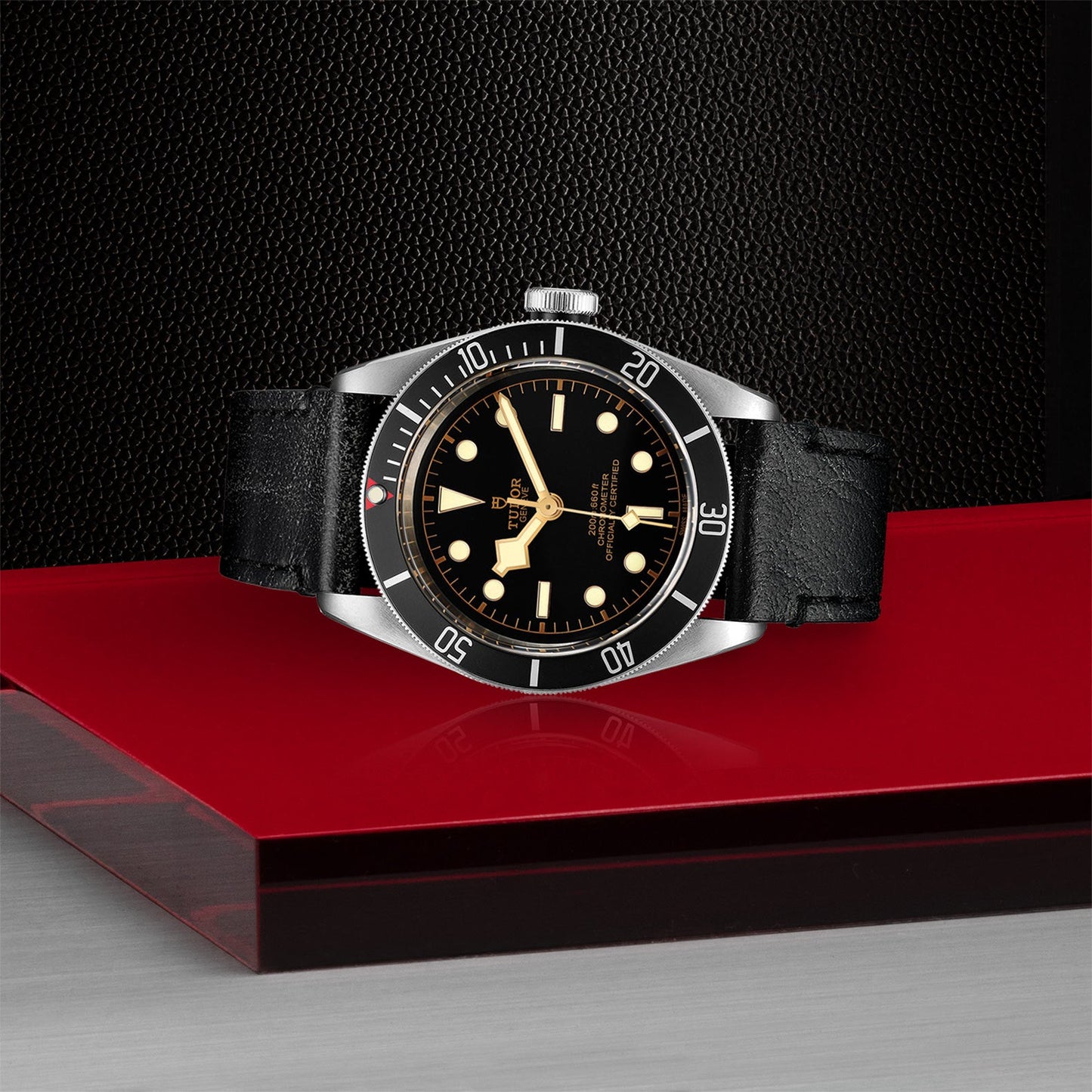 TUDOR Black Bay 41 M79230N-0008