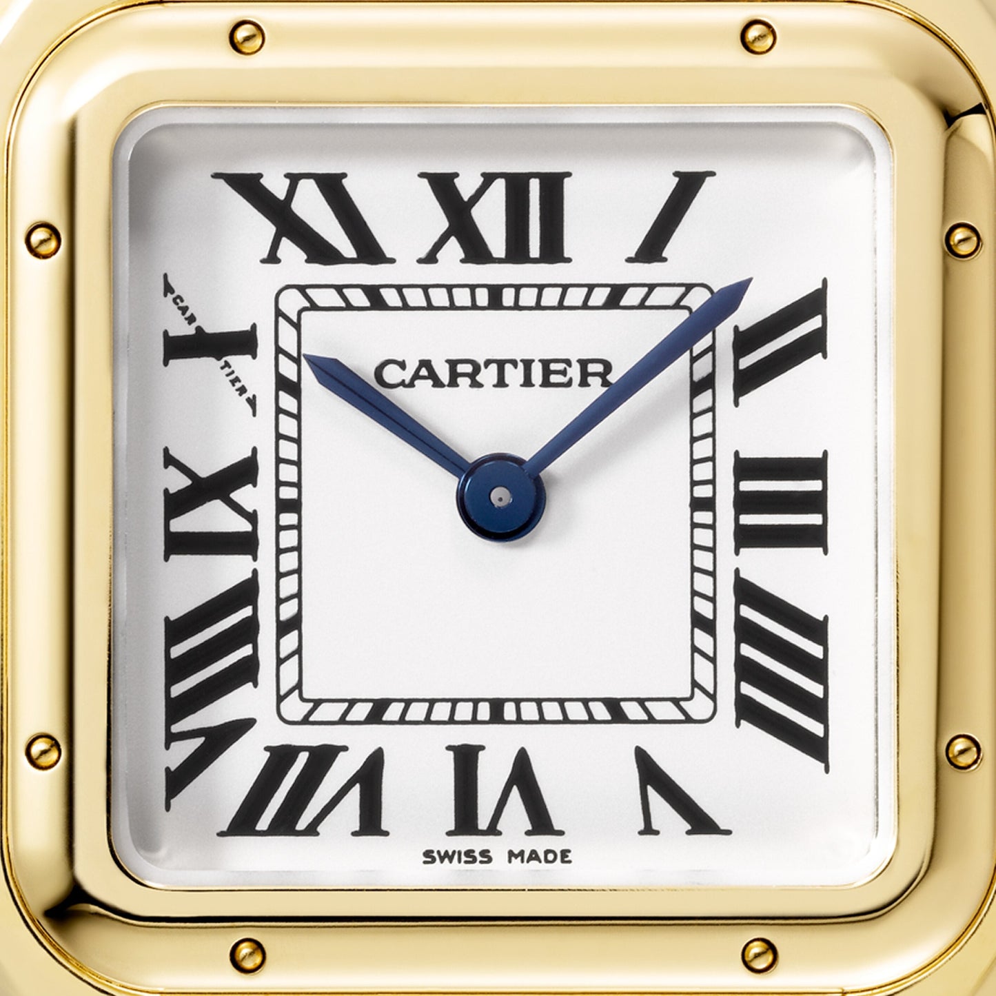 Cartier Panthère de Cartier WGPN0038