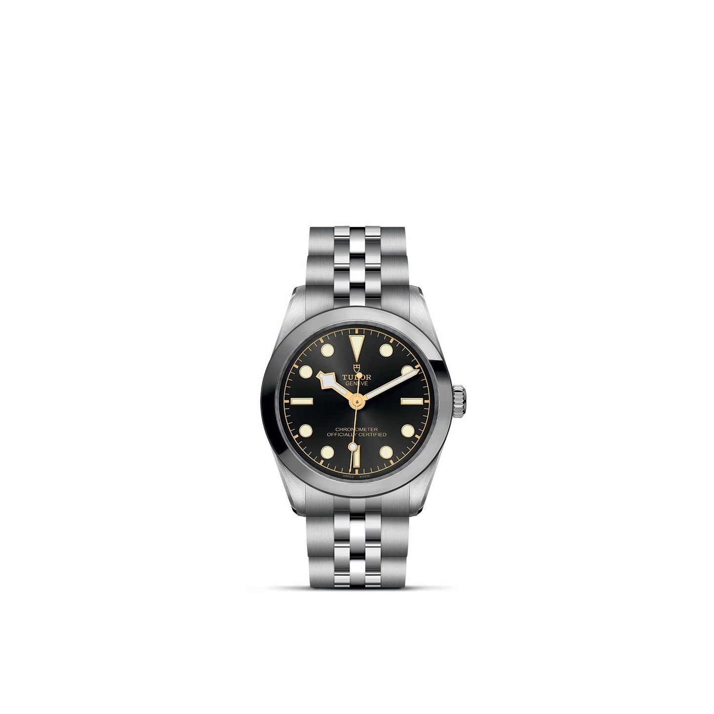 NEW: TUDOR Black Bay 31 M79600-0001