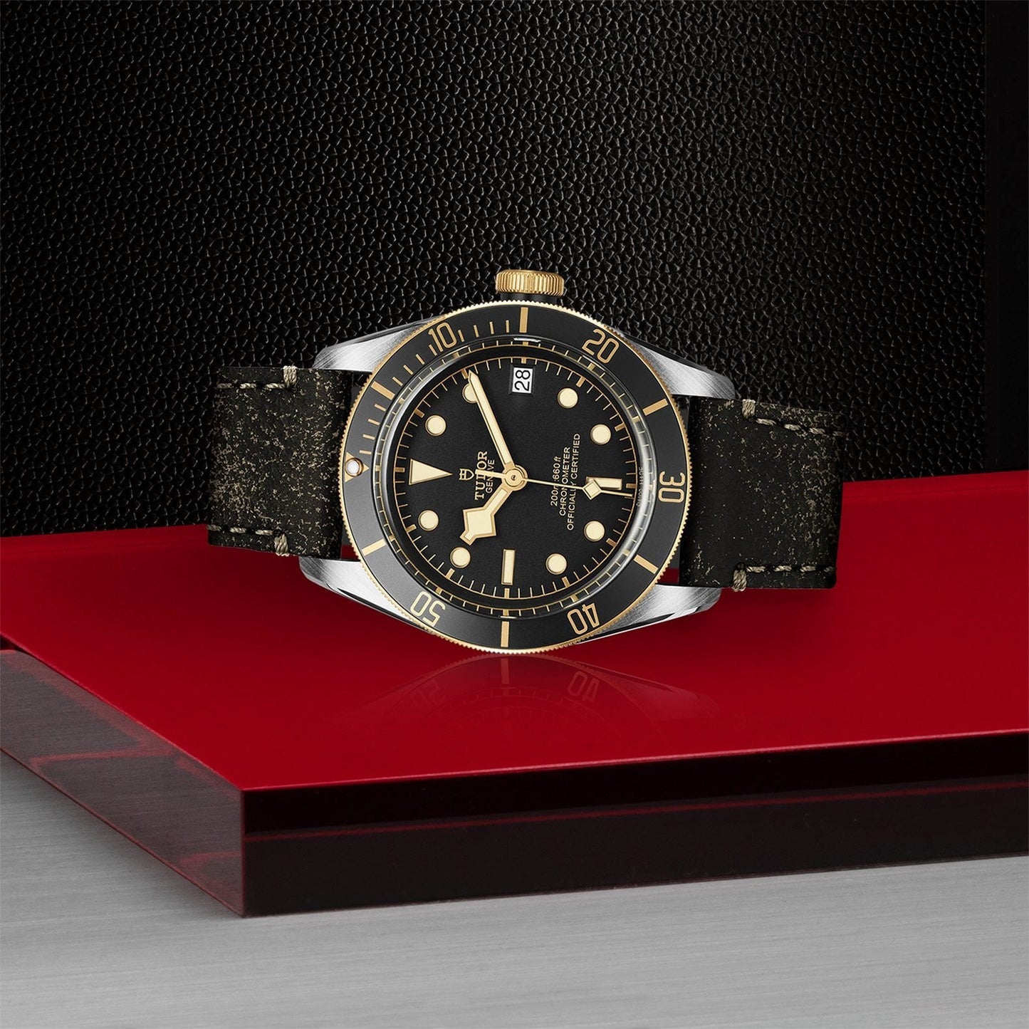 TUDOR Black Bay 41 S&G M79733N-0007