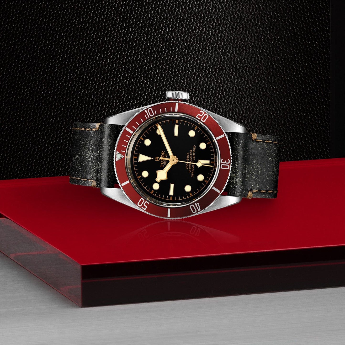 TUDOR Black Bay 41 M79230R-0005