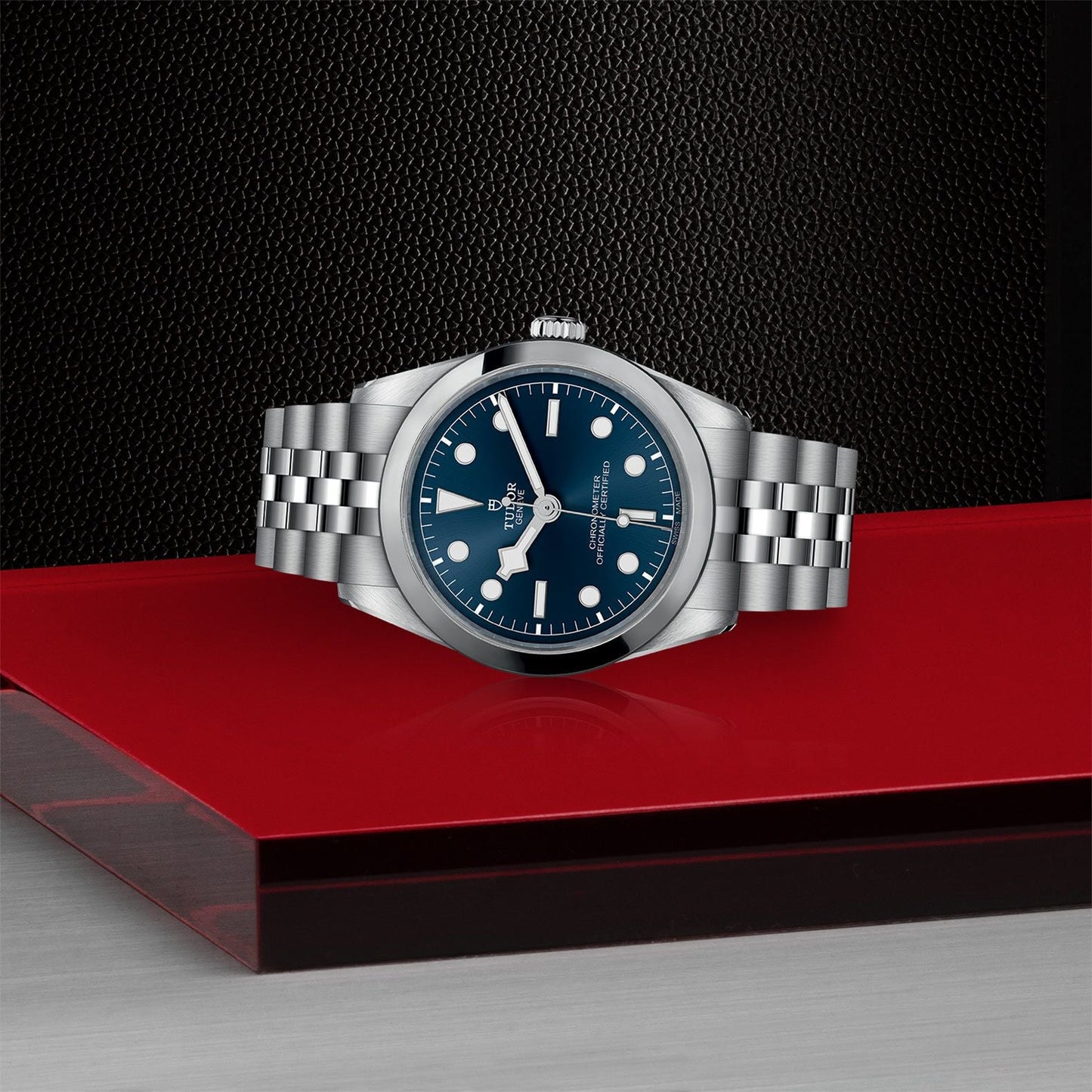 NEW: TUDOR Black Bay 36 M79640-0002