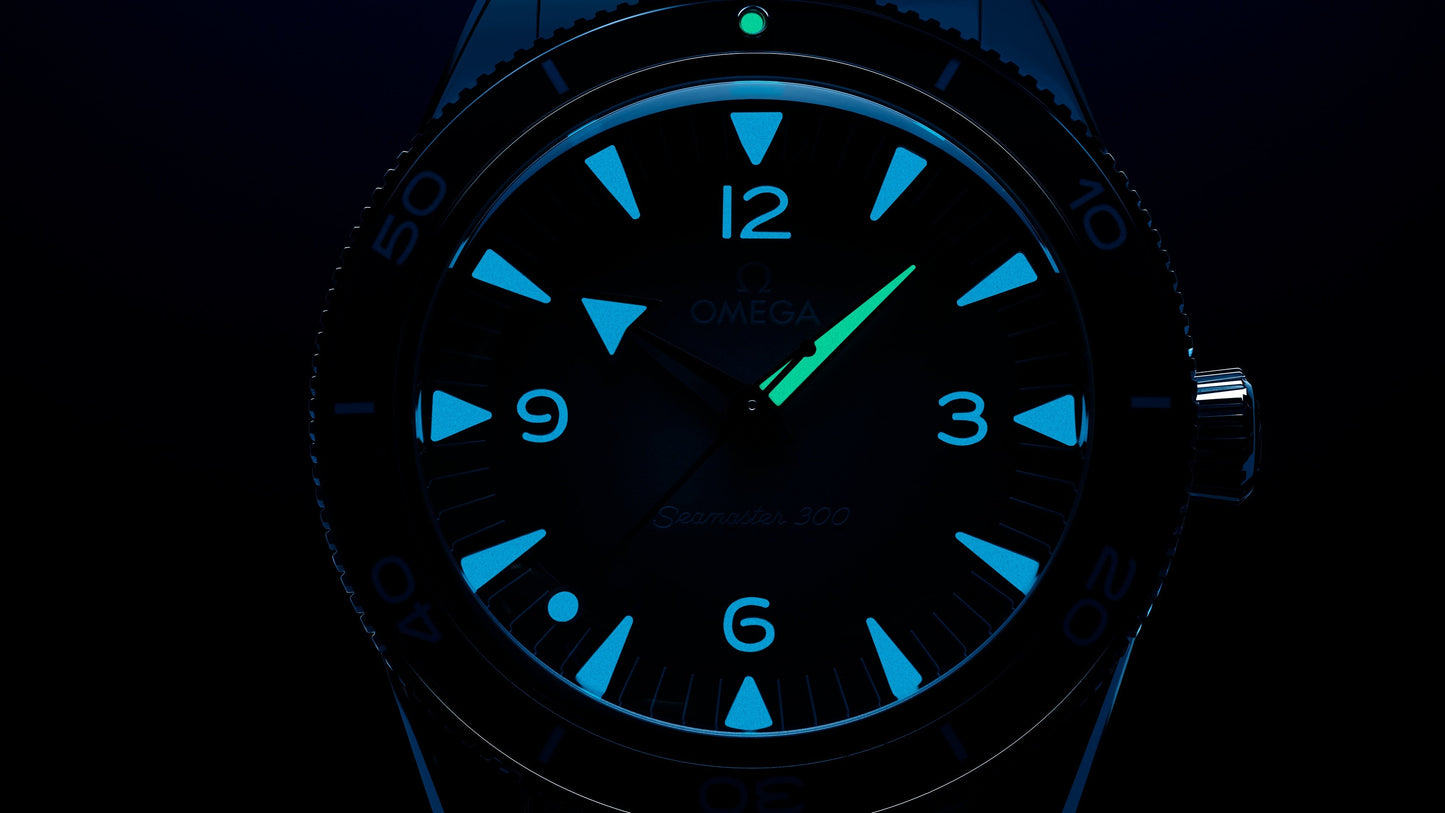 Seamaster 300 41 mm, steel on steel