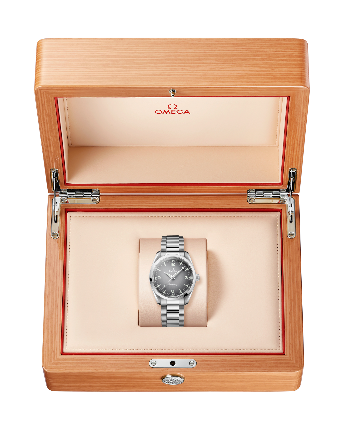 Seamaster Railmaster 38 mm, steel on steel