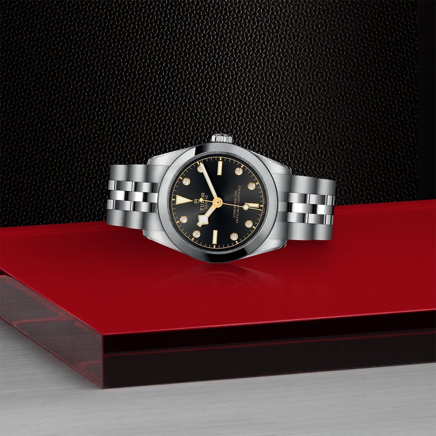 NEW: TUDOR Black Bay 31 M79600-0004