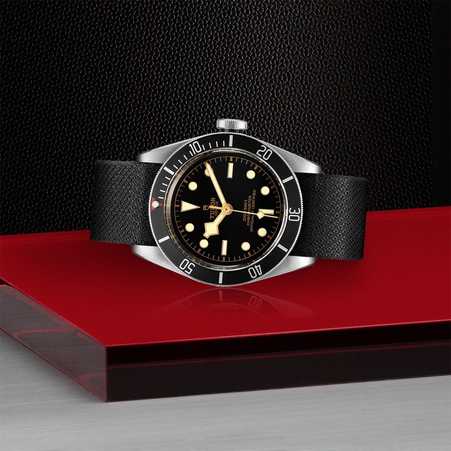 TUDOR Black Bay 41 M79230N-0005