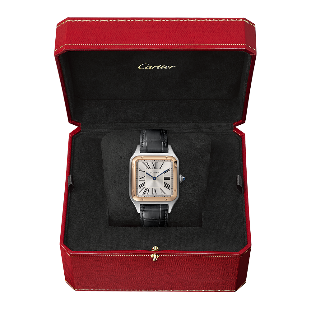 Cartier Santos-Dumont W2SA0011