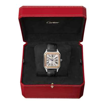 Cartier Santos-Dumont W2SA0011