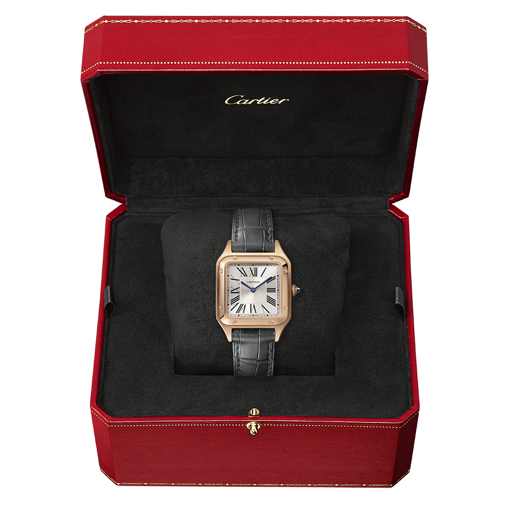 Cartier Santos-Dumont WGSA0022