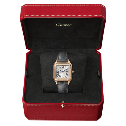 Cartier Santos-Dumont WGSA0022