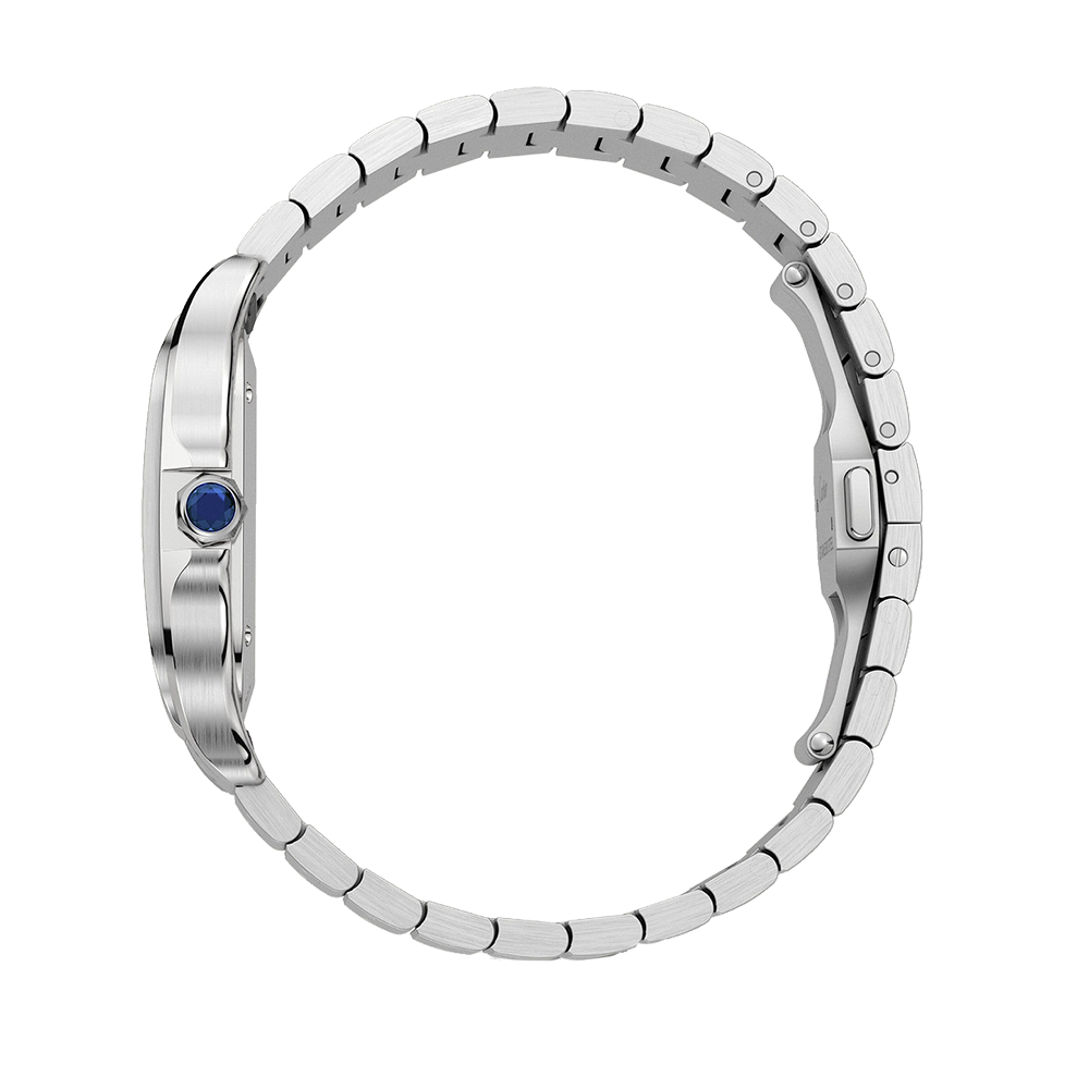 Cartier Santos de Cartier WSSA0063