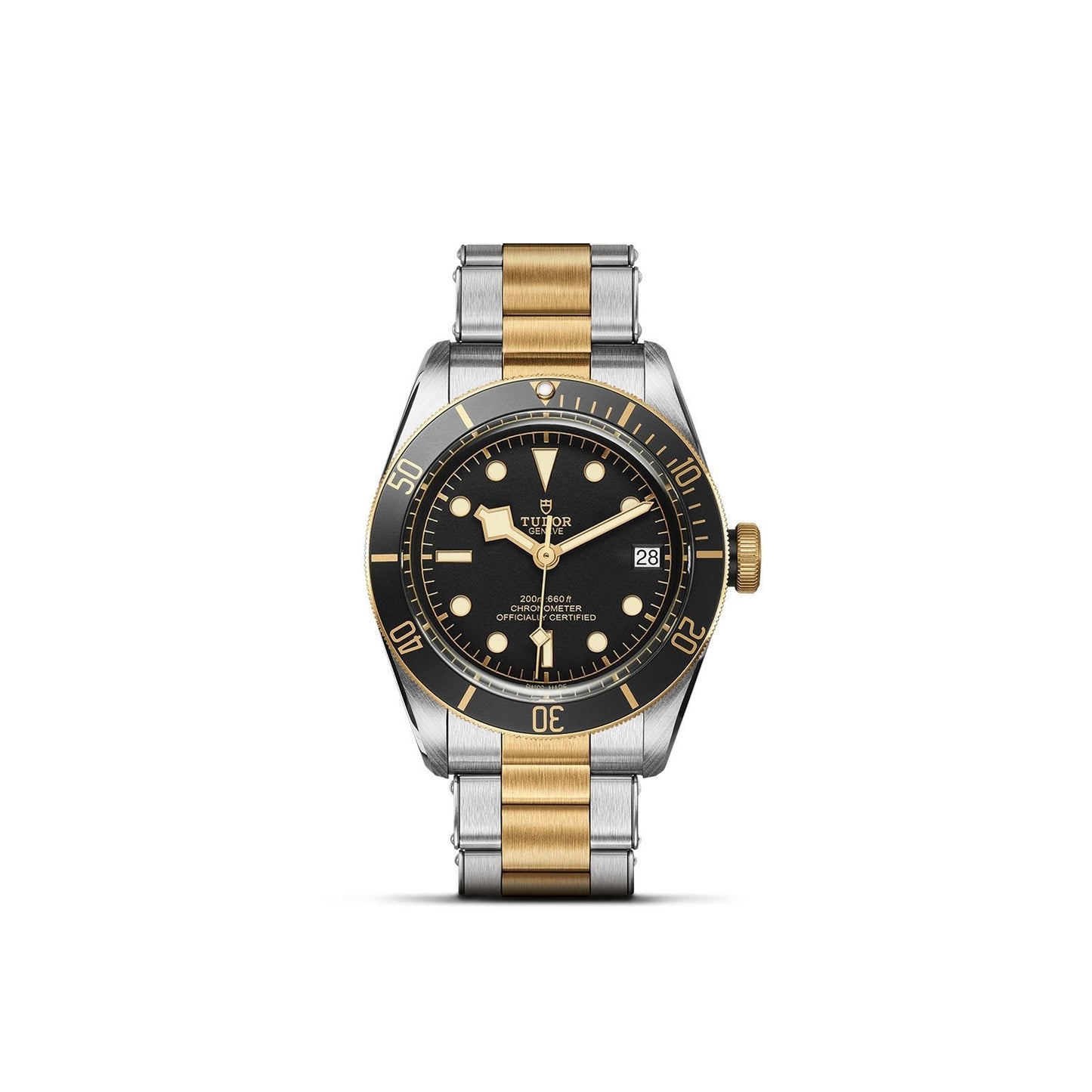 TUDOR Black Bay S&G 41mm M79733N-0008