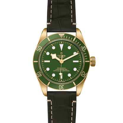 TUDOR Black Bay 58 18K  M79018V-0001