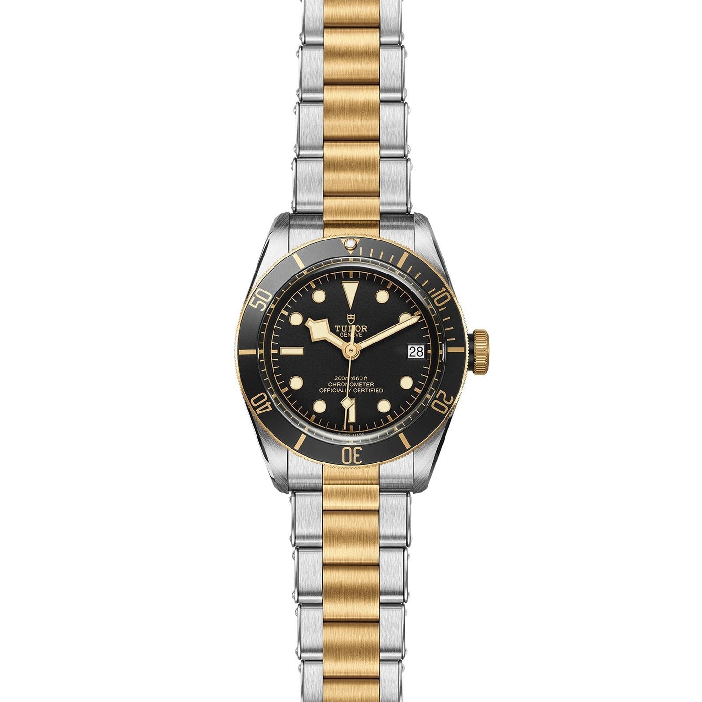 TUDOR Black Bay S&G 41mm M79733N-0008
