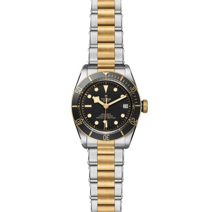 TUDOR Black Bay S&G 41mm M79733N-0008