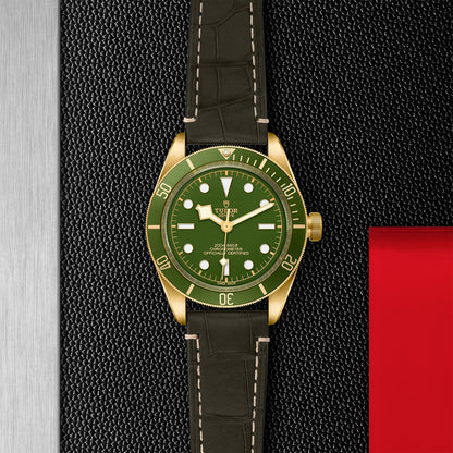 TUDOR Black Bay 58 18K  M79018V-0001