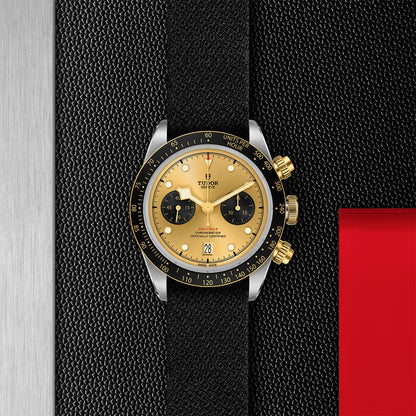 TUDOR Black Bay Chrono S&G M79363N-0006