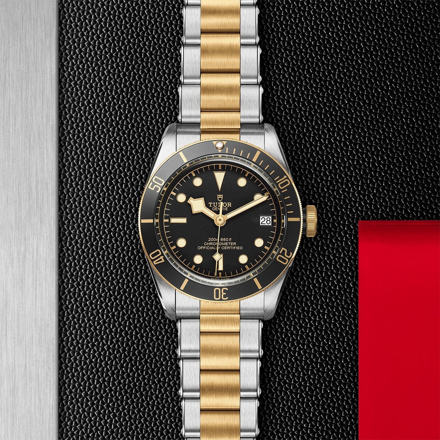 TUDOR Black Bay S&G 41mm M79733N-0008