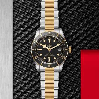 TUDOR Black Bay S&G 41mm M79733N-0008