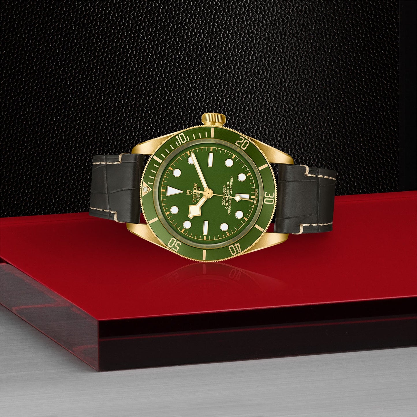 TUDOR Black Bay 58 18K  M79018V-0001