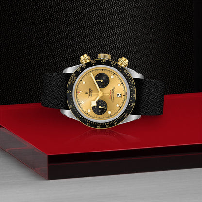 TUDOR Black Bay Chrono S&G M79363N-0006