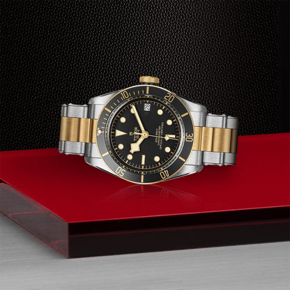 TUDOR Black Bay S&G 41mm M79733N-0008