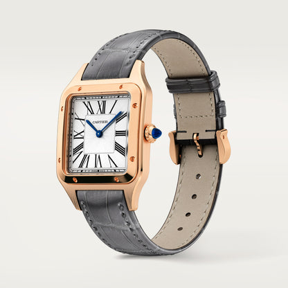 Cartier Santos-Dumont WGSA0021