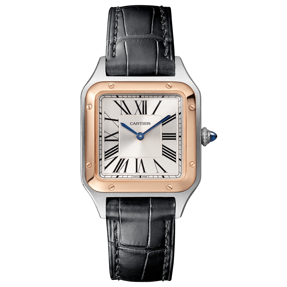 Cartier Santos-Dumont W2SA0012