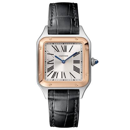 Cartier Santos-Dumont W2SA0012