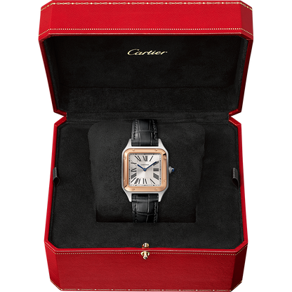 Cartier Santos-Dumont W2SA0012