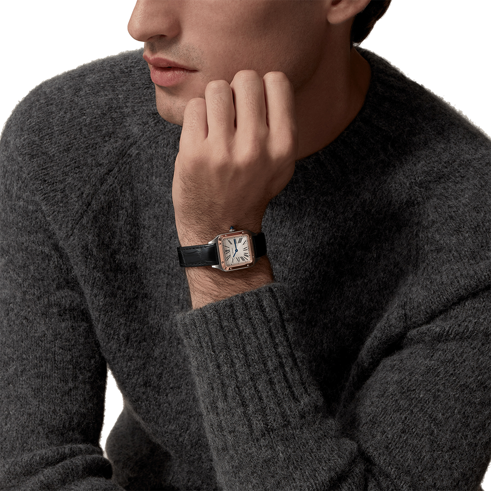 Cartier Santos-Dumont W2SA0012