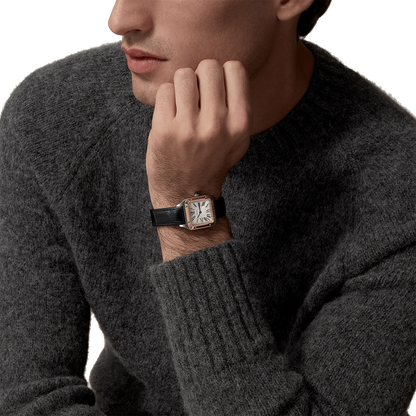 Cartier Santos-Dumont W2SA0012