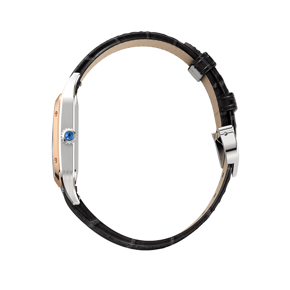 Cartier Santos-Dumont W2SA0012