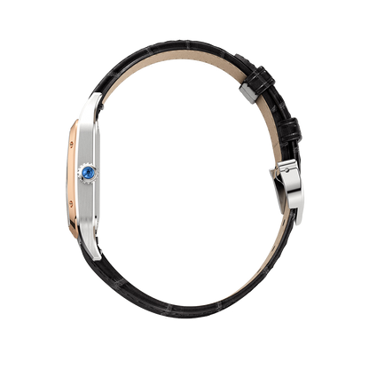 Cartier Santos-Dumont W2SA0012