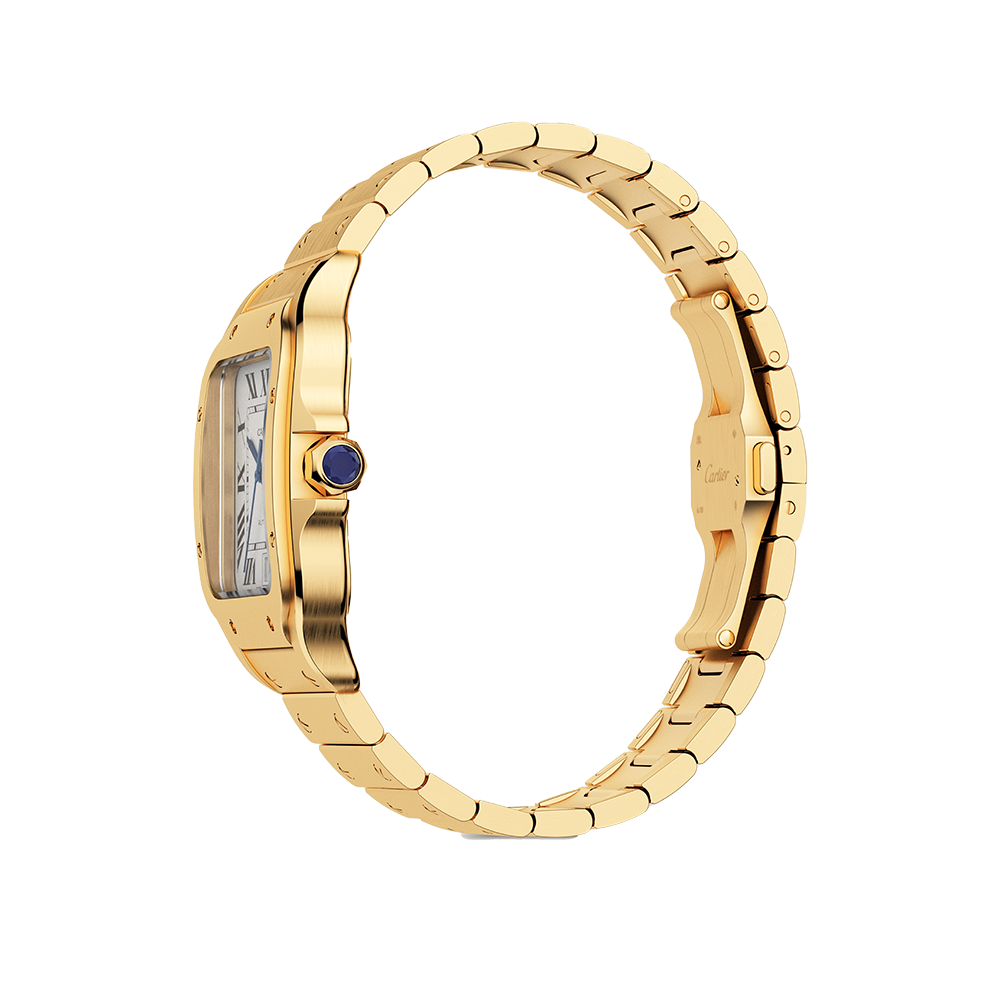 Cartier Santos de Cartier WGSA0029