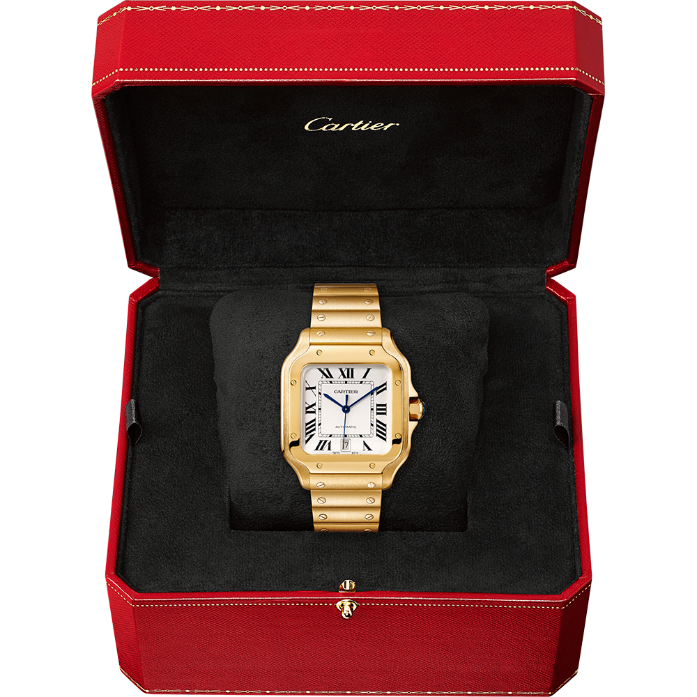 Cartier Santos de Cartier WGSA0029
