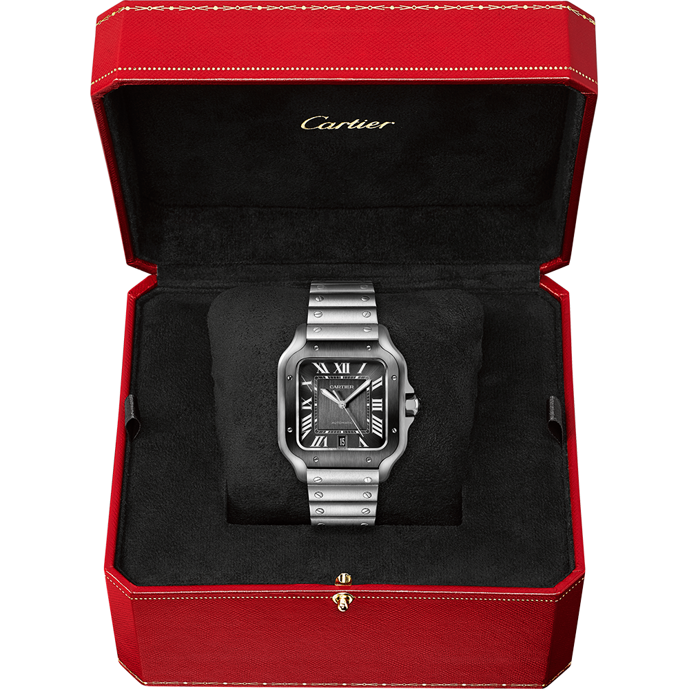 Cartier Santos de Cartier WSSA0037