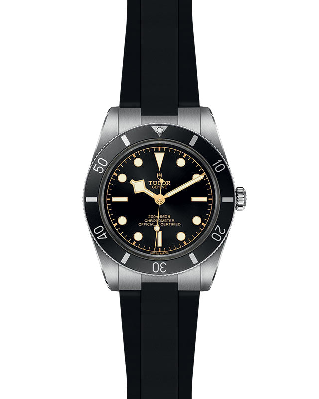 NEW: TUDOR Black Bay 54 M79000N-0002