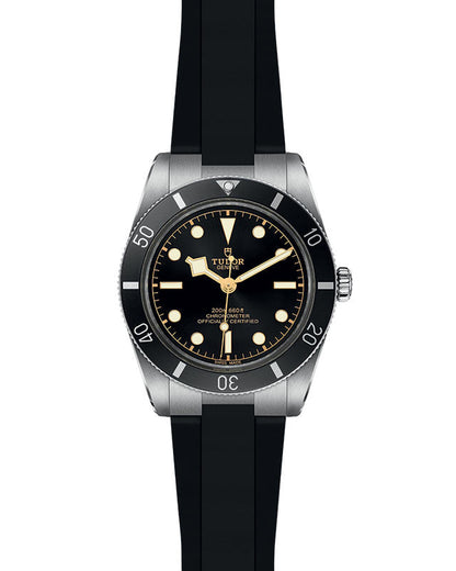 NEW: TUDOR Black Bay 54 M79000N-0002
