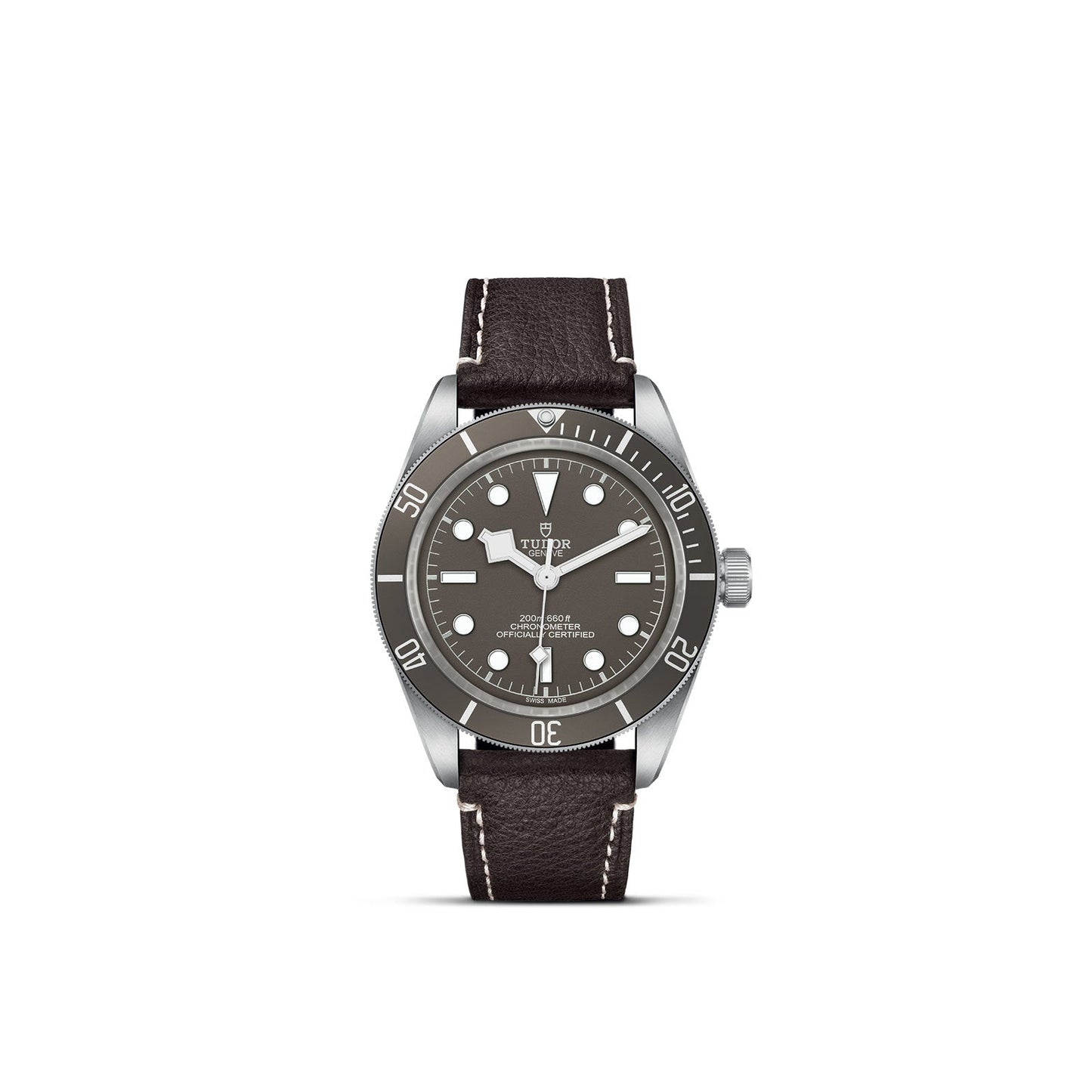 TUDOR Black Bay 58 925 M79010SG-0001