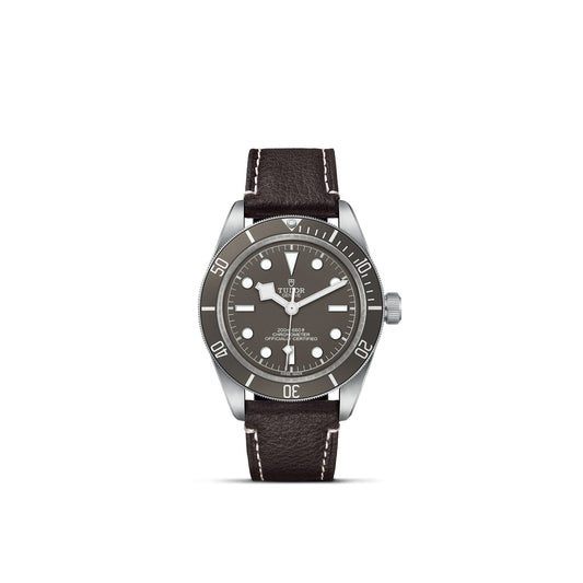 TUDOR Black Bay 58 925 M79010SG-0001