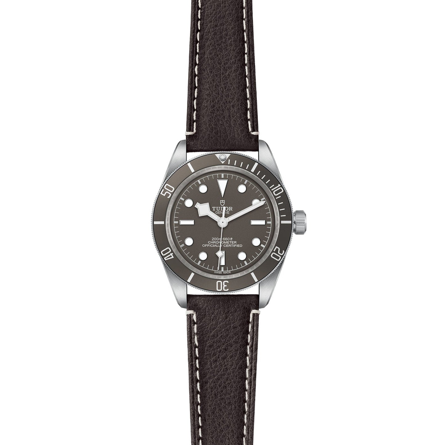 TUDOR Black Bay 58 925 M79010SG-0001