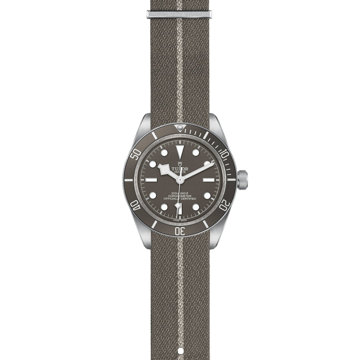 TUDOR Black Bay 58 925 M79010SG-0002
