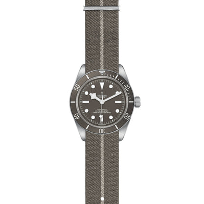 TUDOR Black Bay 58 925 M79010SG-0002